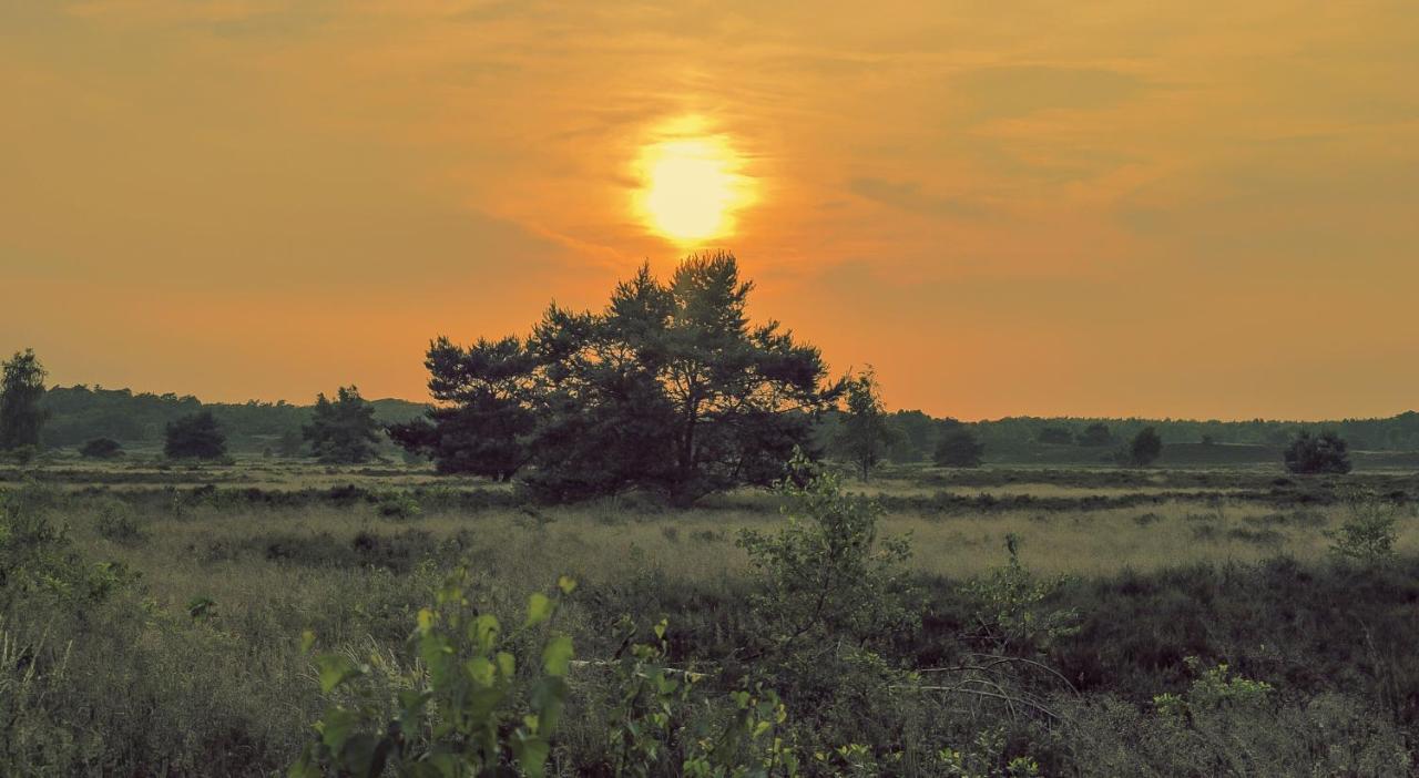 Lodge Koolmees Nunspeet Veluwe Exteriör bild