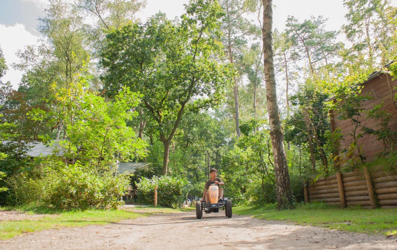 Lodge Koolmees Nunspeet Veluwe Exteriör bild